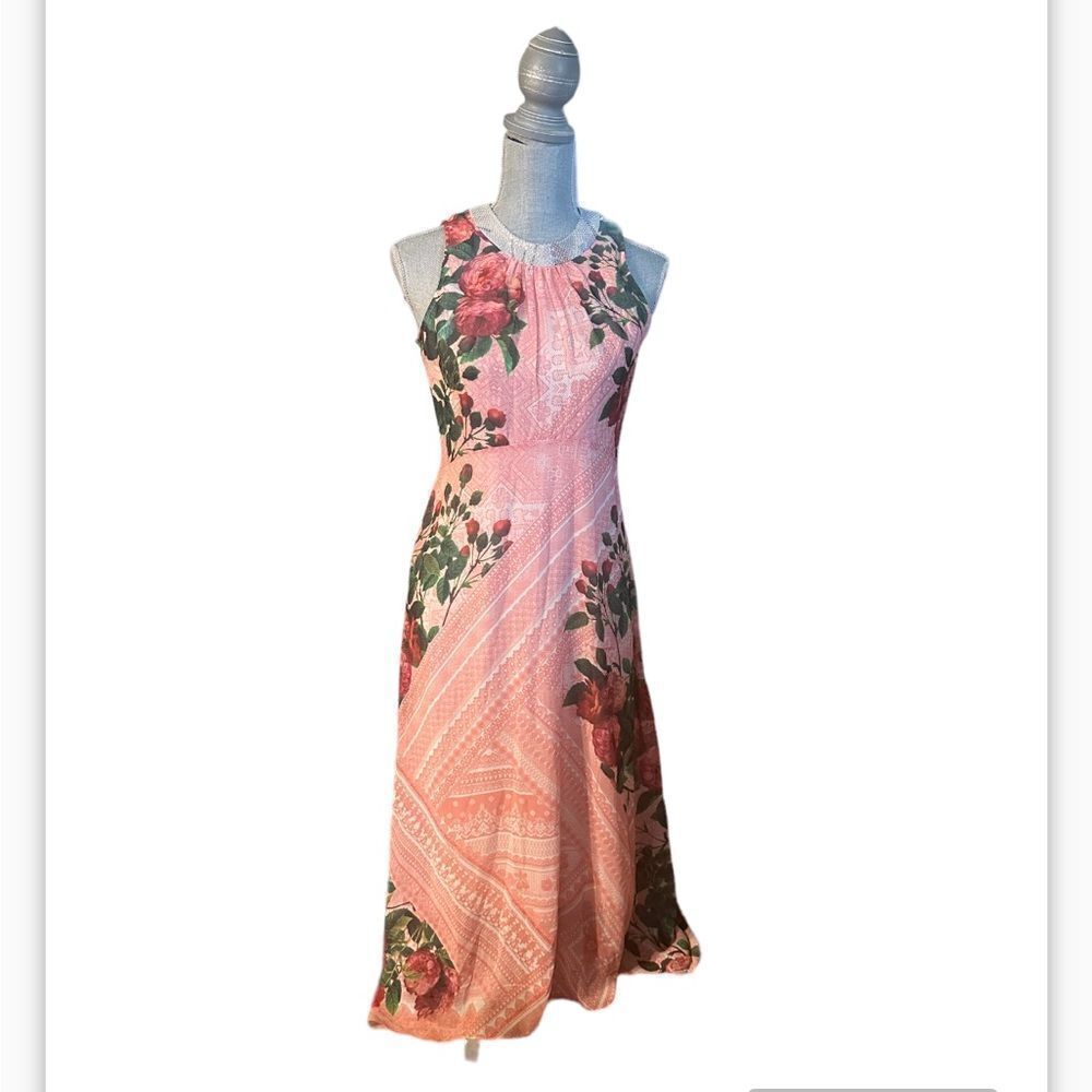 Pankaj & Nidhi dress 4 (3500)